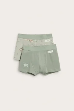 Dinosauruskuvioiset alushousut, 2-pack | Vaaleanvihreä | Lapset | Newbie