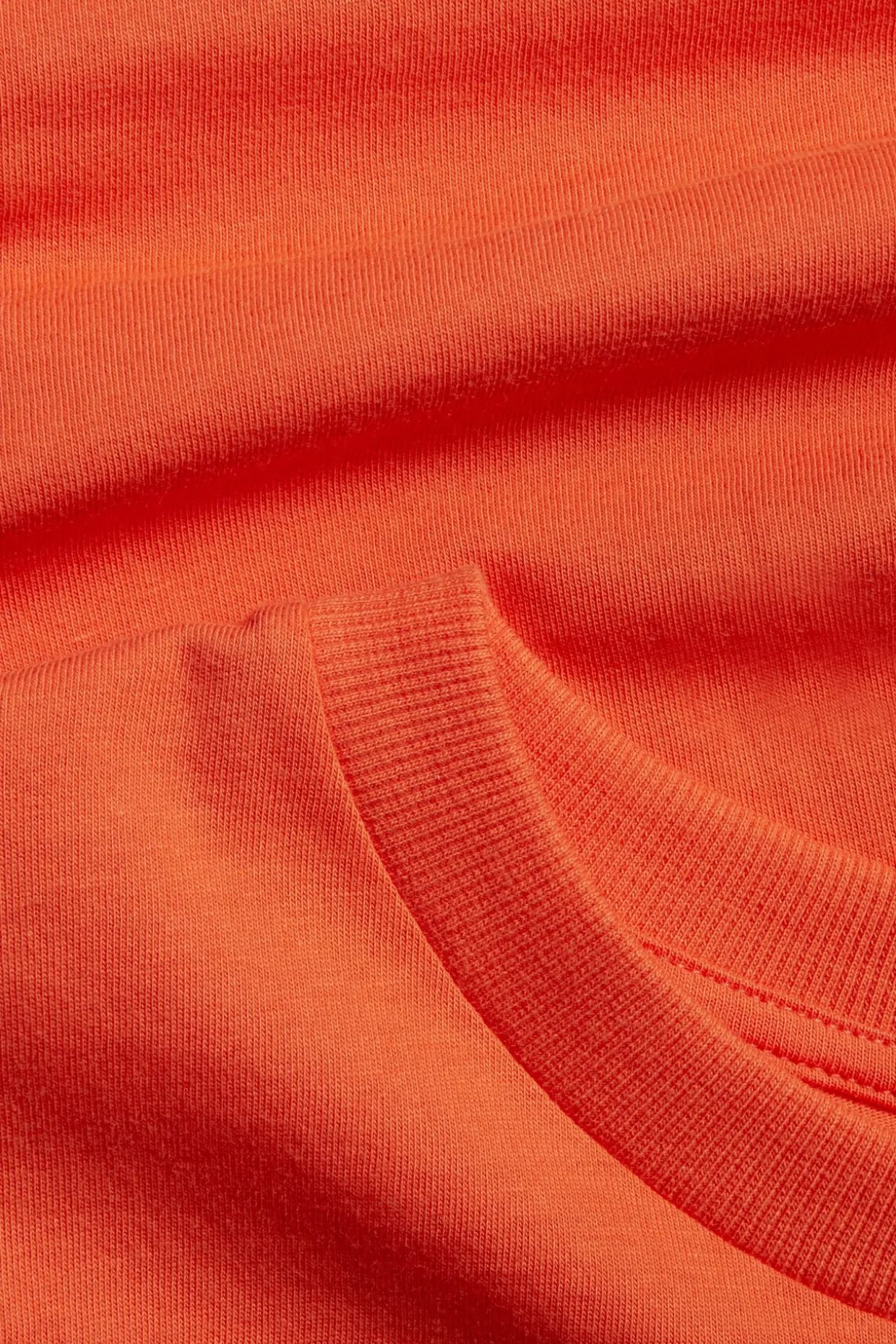 Puuvillatrikoota oleva eläinaiheinen t-paita | Oranssi | Lapset | Kappahl